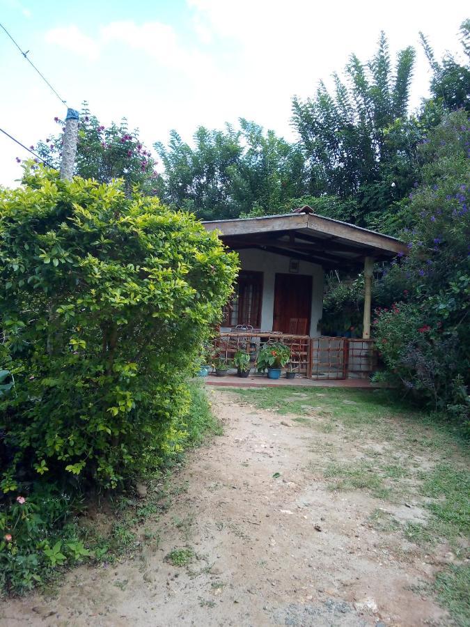 Ella J Villa Luaran gambar
